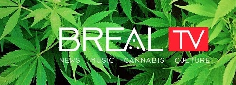 BReal TV